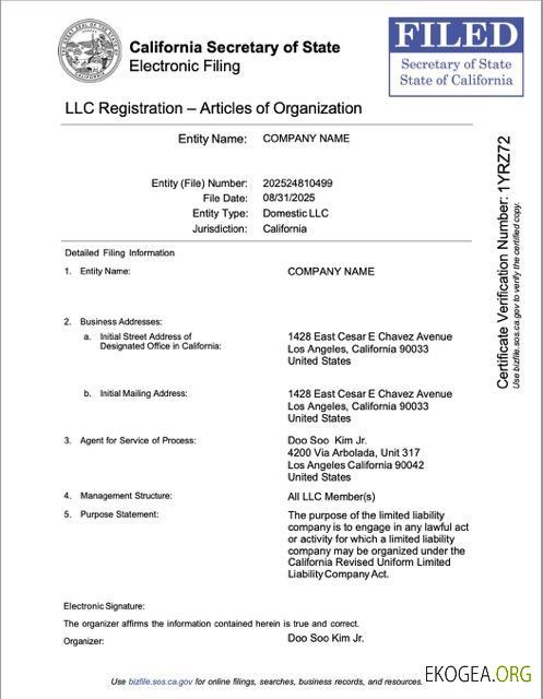 Modèle Word et PDF d'enregistrement USA California LLC